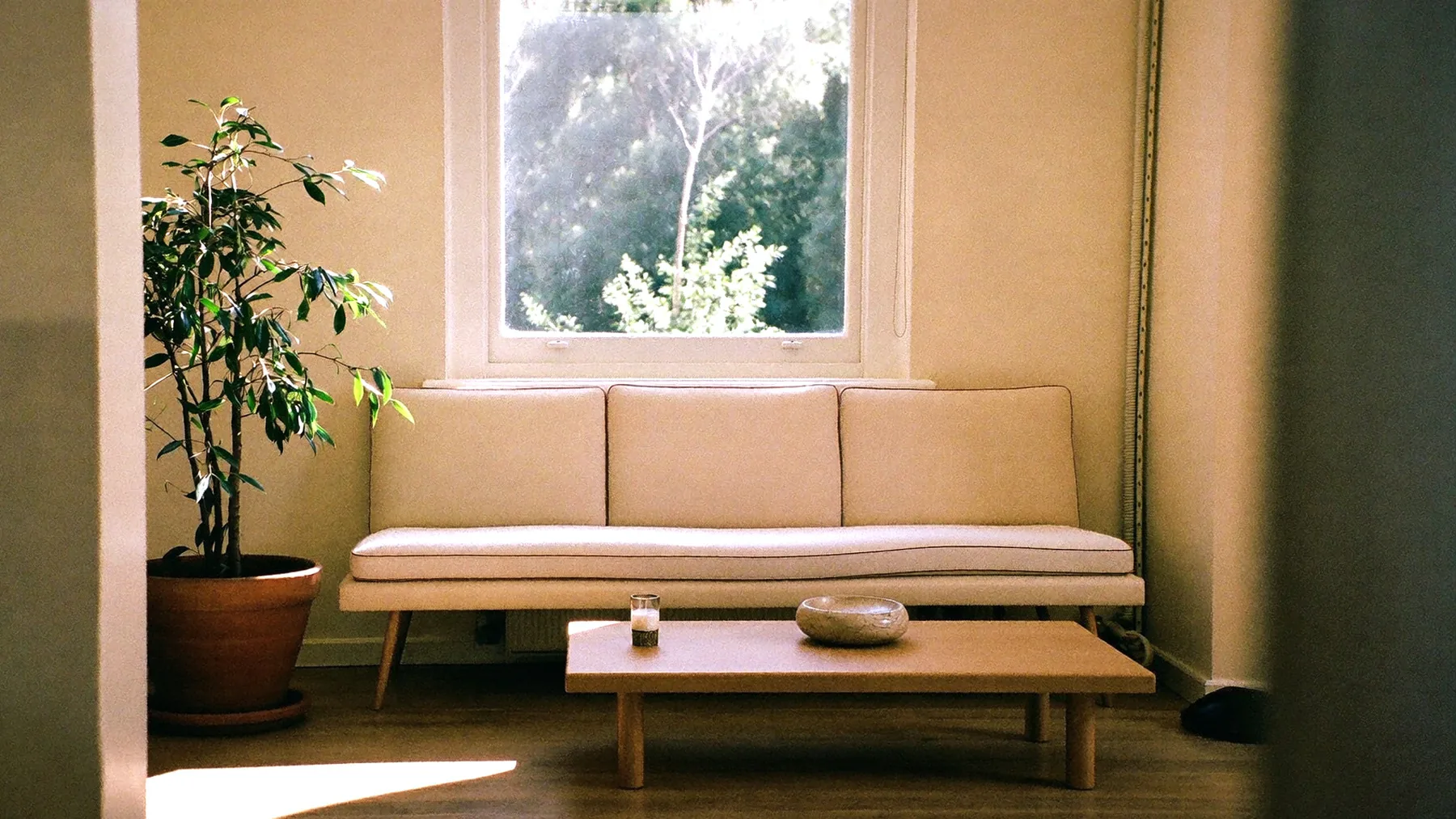 Un asiento largo bajo una ventana en Redefyn Aesthetics, con un árbol en maceta al lado